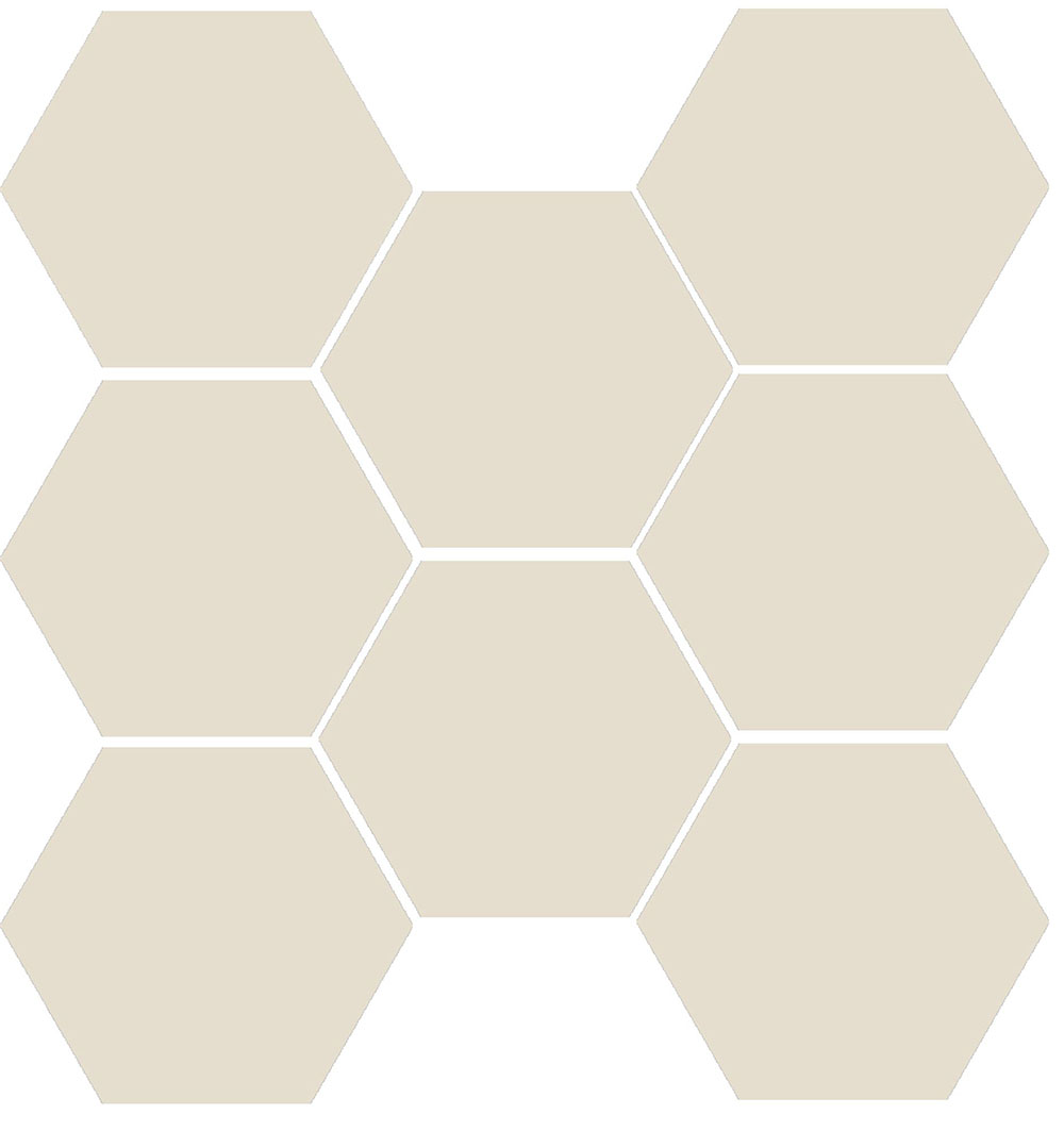 8X9 HEXAGON RAL 095 80 10 MAT(NN) nR