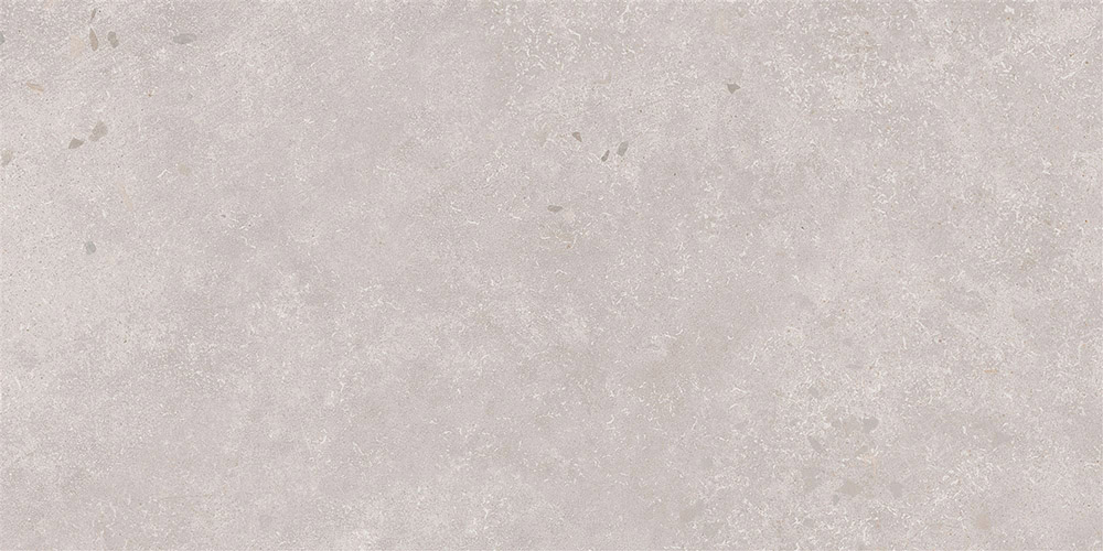 30X60 STONELEVEL GREIGE R9 7LPR