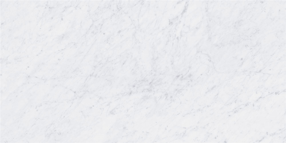 60X120 MARMORI CARRARA WHITE R9  LPR