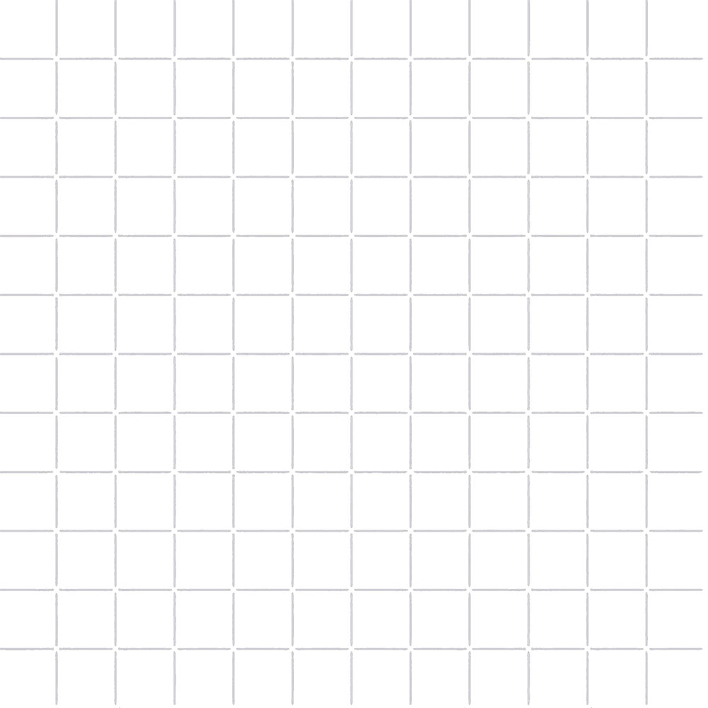 2.5X2.5 UNI HEXAGON S.WHT R10B(NN nR