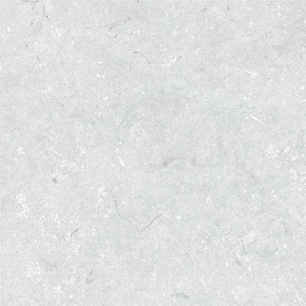 60X60 LIGHTSTONE FOSSILE L.GREY R10A 7R